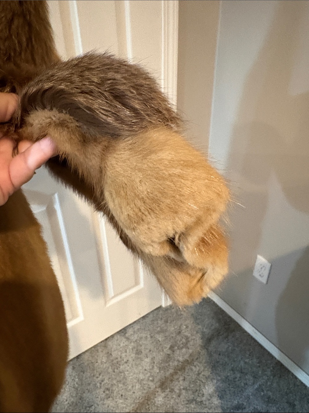 Luxury Women's Fur Coat - Tan/Brown mink and fox trim. 2B - Picture 8 of 16